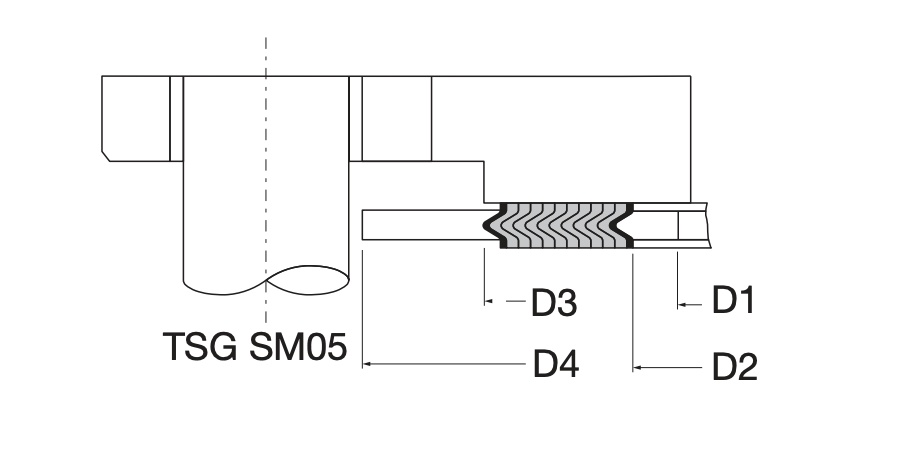 TSG SM05 316L GRAF 316L-IR ASME B16.20 SWG with inner and outer guide ring